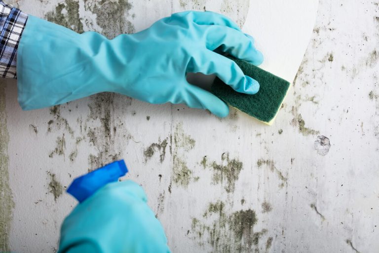 How to Remove Stains Off Painted Walls Pristine Home